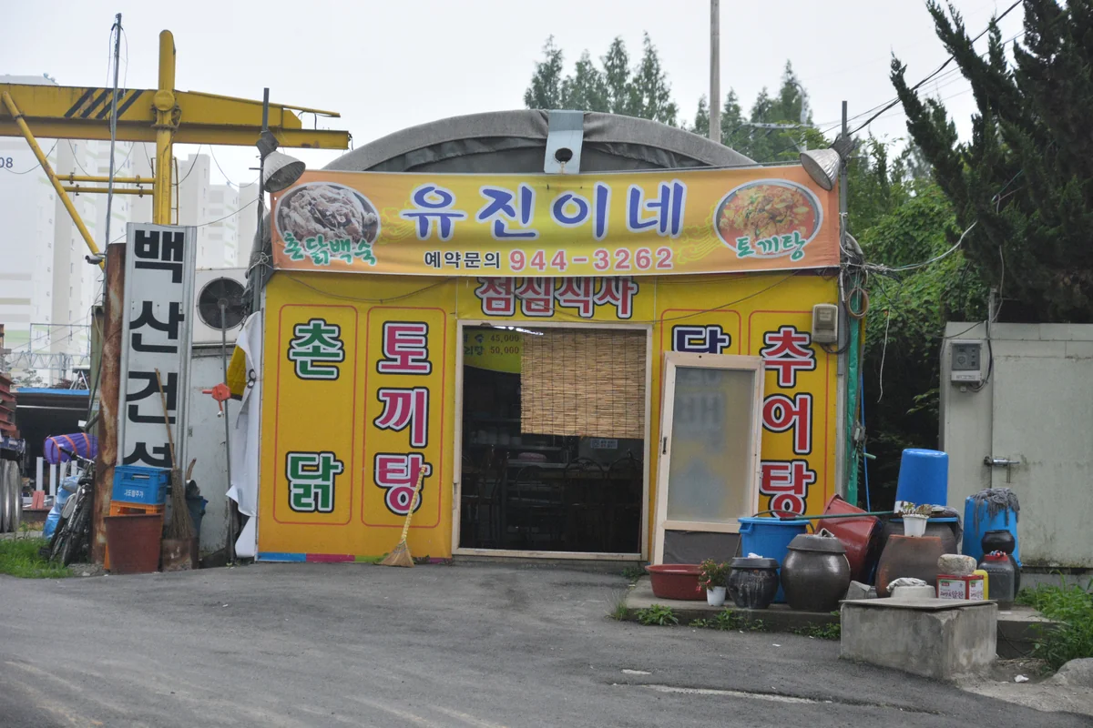 유진이네 속초시 애견맛집