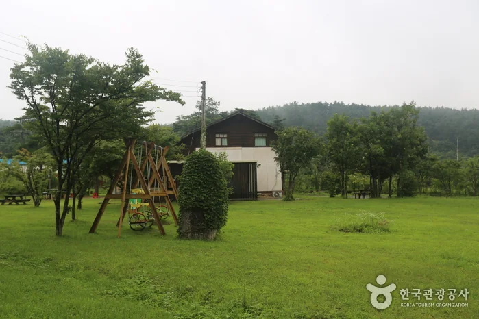 복골온천 양양군 애견숙소