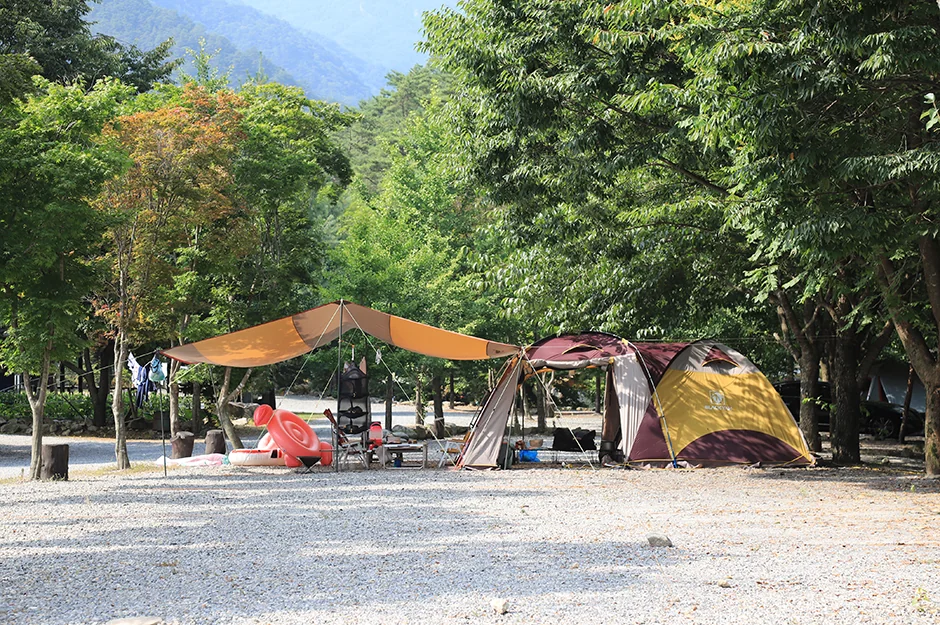 산여울캠프장 영월군 애견여행지