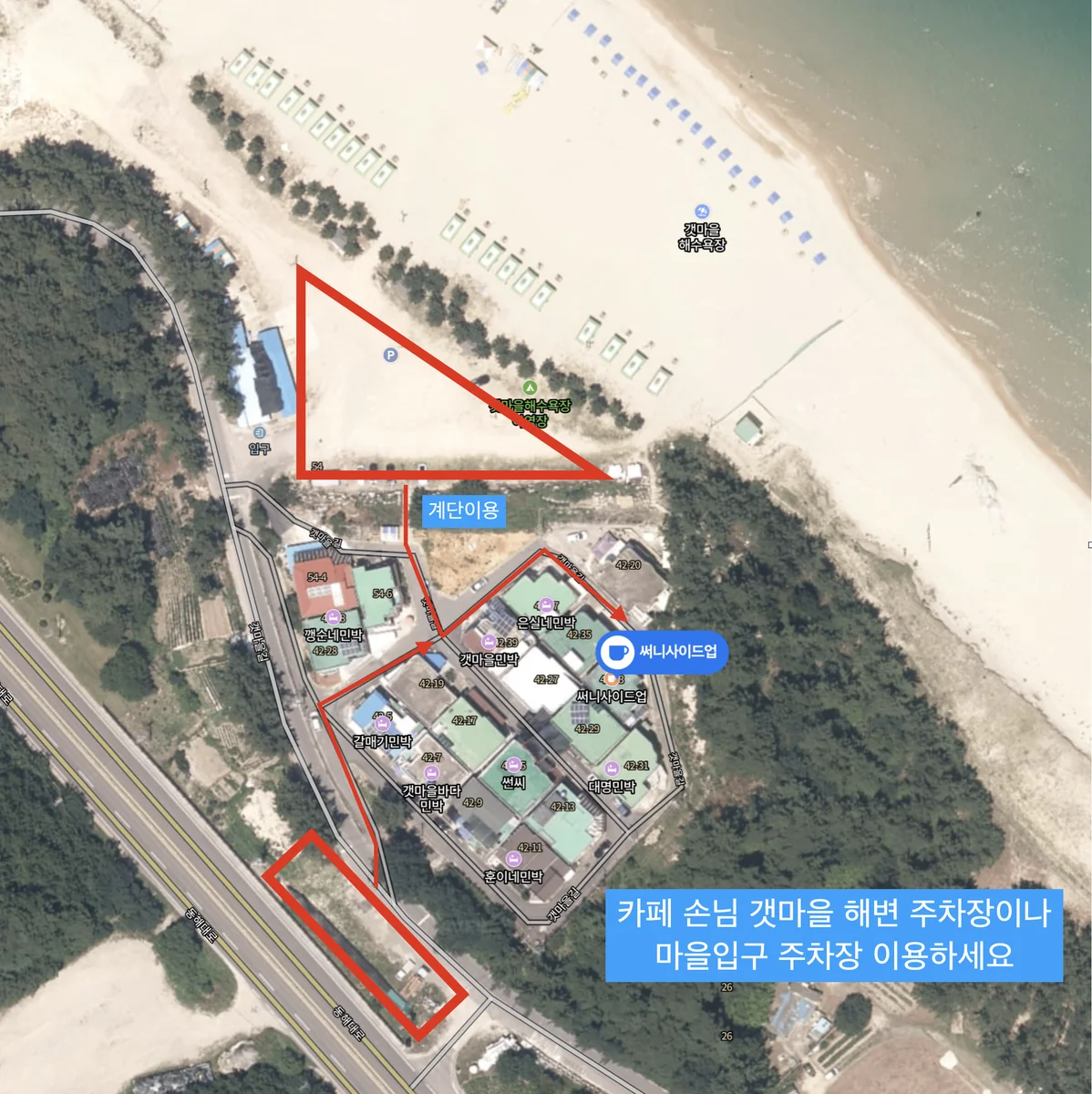 써니사이드업 양양군 애견카페