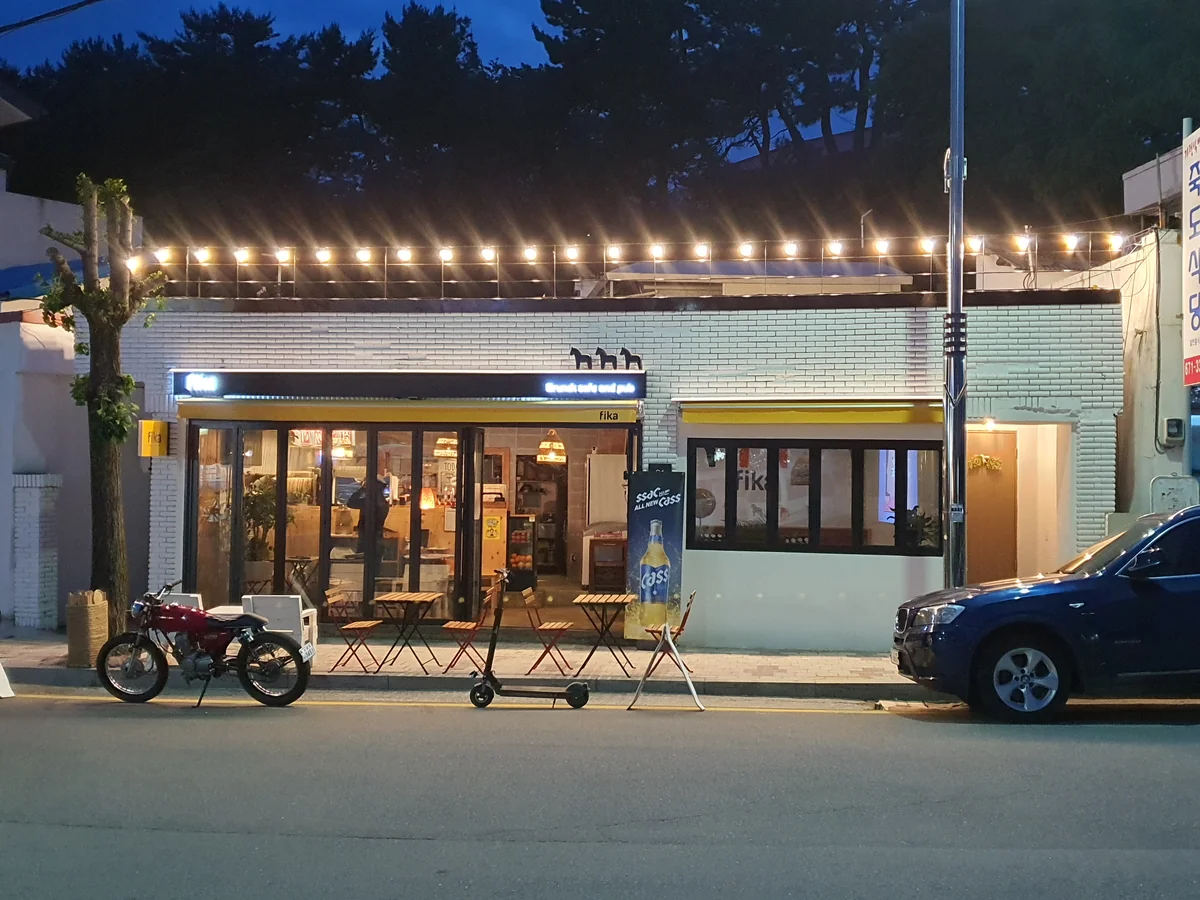 피카 양양군 애견카페