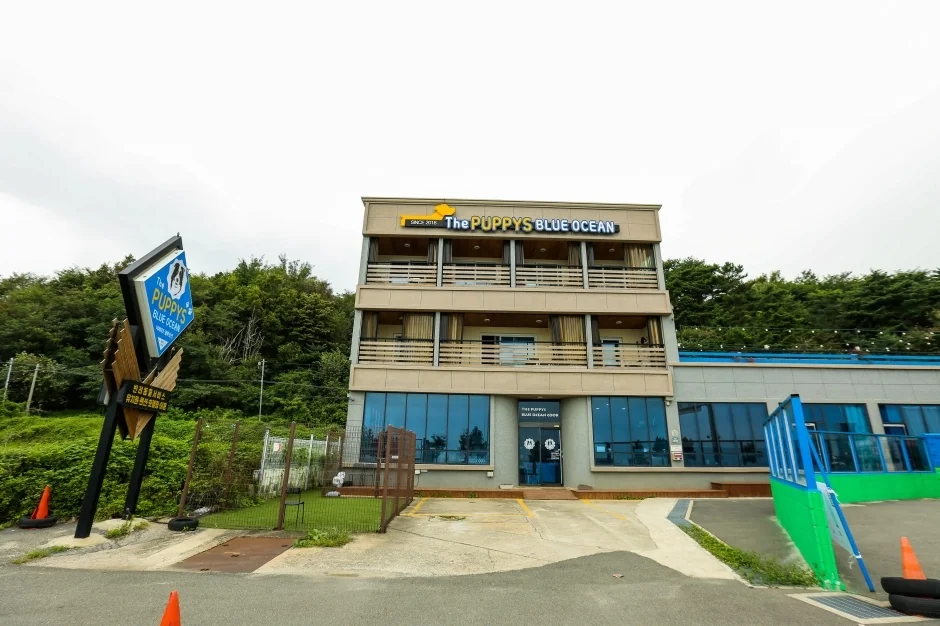 더퍼피즈블루오션 반려동물 동반 숙소