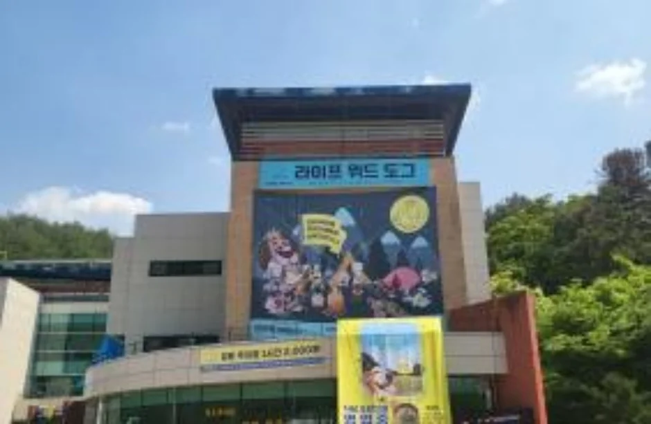 라이프위드도그 인제군 애견숙소