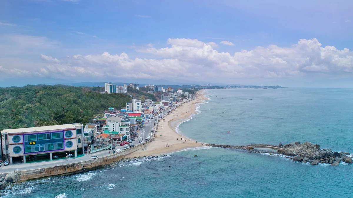 더씨엘스파펜션 강릉시 애견숙소