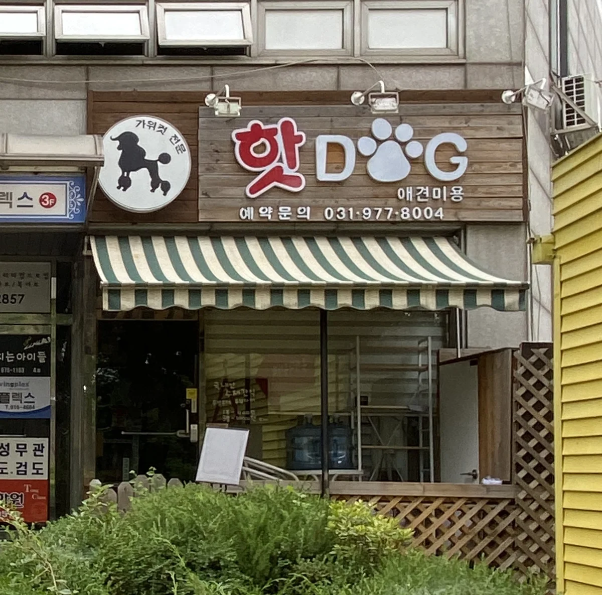 핫DOG 거제시 애견숙소