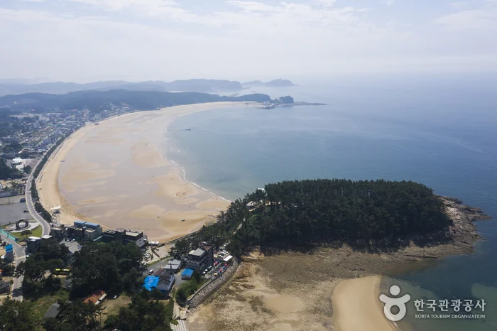 만리포해수욕장 태안군 애견여행지