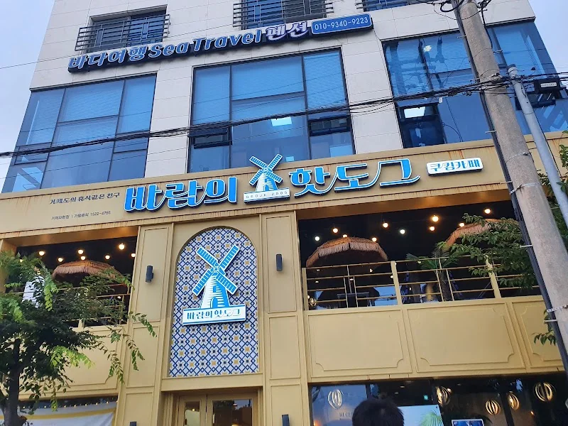 바람의핫도그 와현점 거제시 애견카페