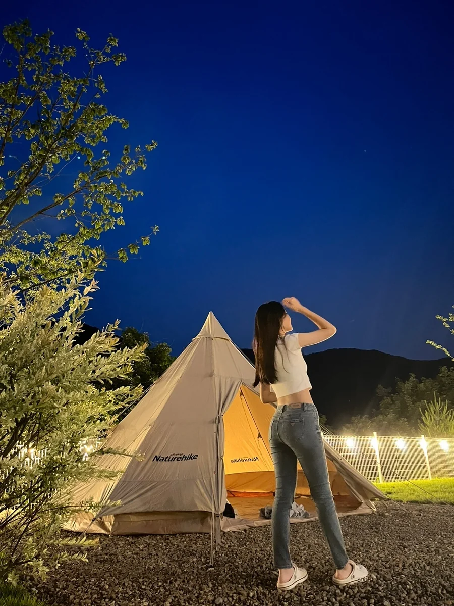 산내956 경주시 애견숙소