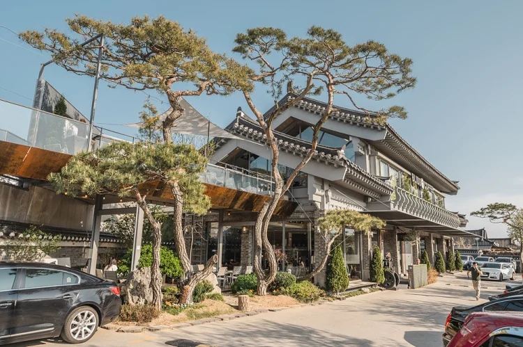 경주 블리스커피 경주시 애견맛집
