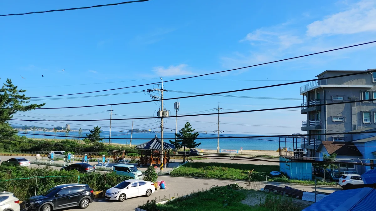 자작도사철민박 고성군 애견숙소