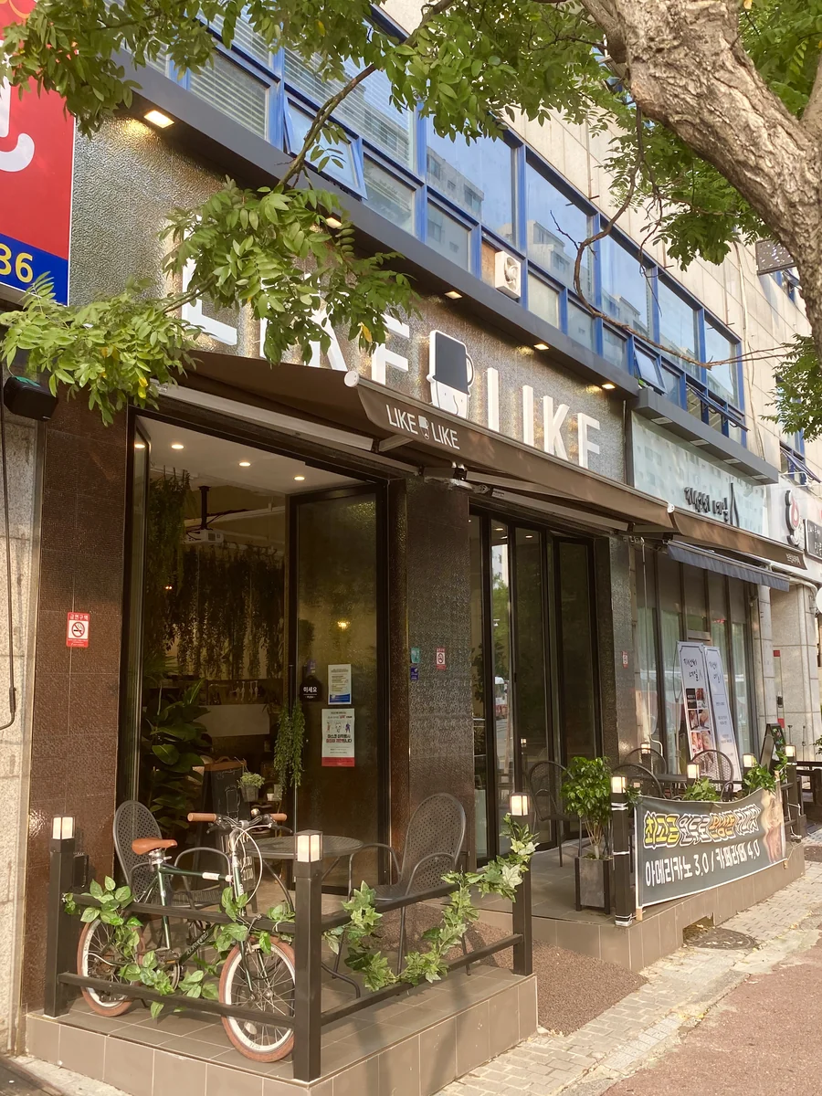 라이크라이크 일산주엽점 고양시 애견맛집