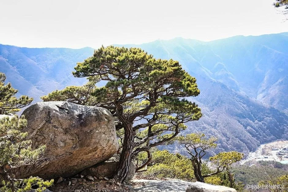 가지산도립공원(밀양) 밀양시 애견여행지