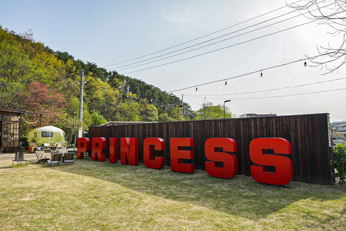 프린세스 피크닉 카페 공주시 애견카페