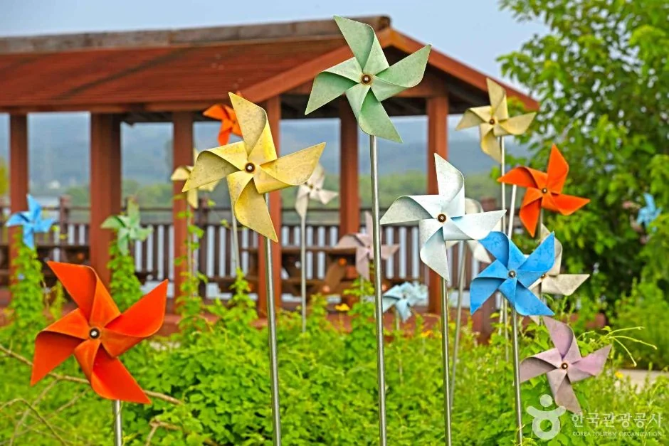 바람개비 마을 익산시 애견여행지