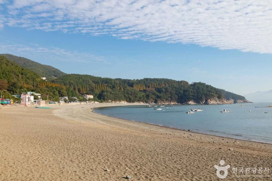 만성리 검은모래해변 여수시 애견여행지