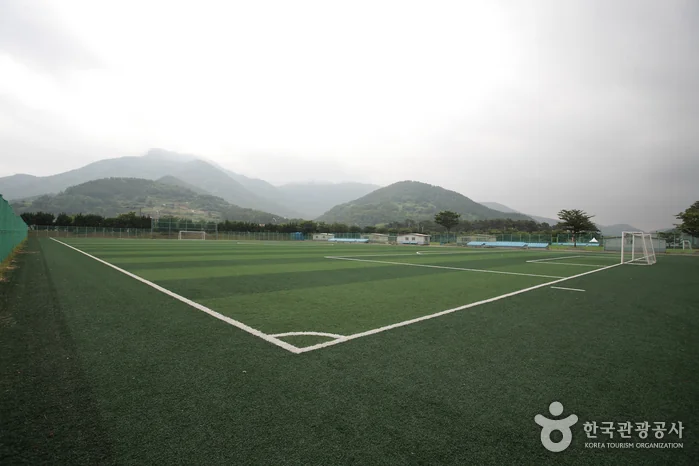 남해스포츠파크 남해군 애견여행지