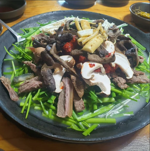 왔슈 단양군 애견맛집