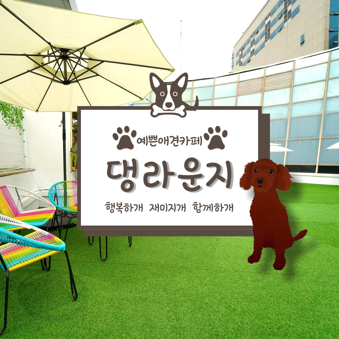 댕라운지 서구 애견카페