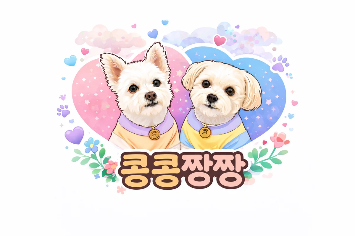 콩콩짱짱 댕댕이집 동해시 애견여행지
