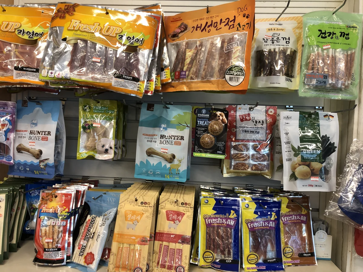 애견의명가궁 순천시 애견숙소