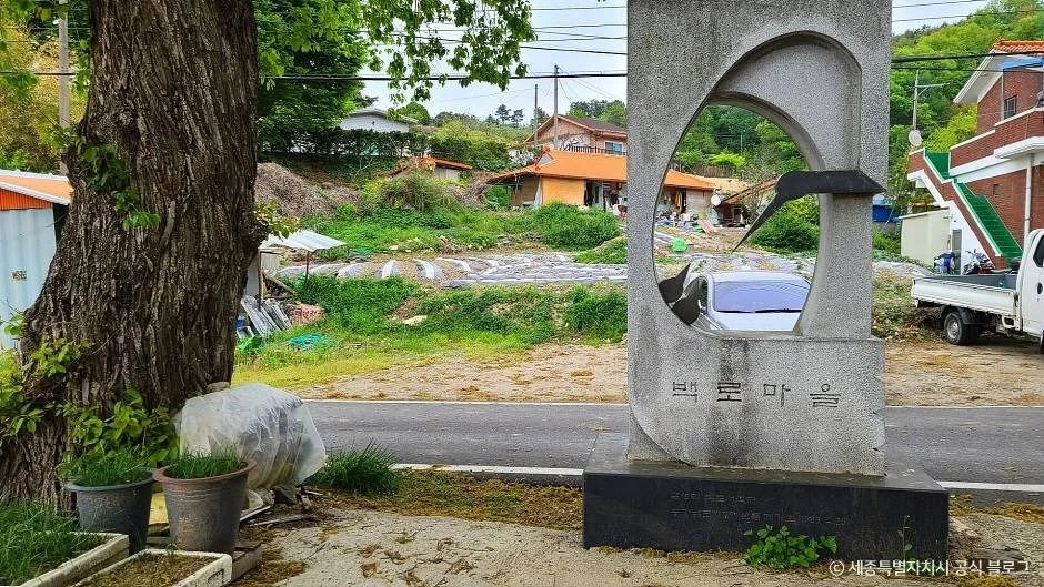 금남 백로 서식지 세종시 애견여행지