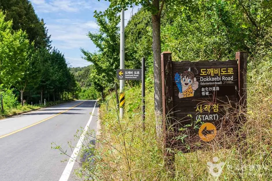 비암사 도깨비도로 세종시 애견여행지