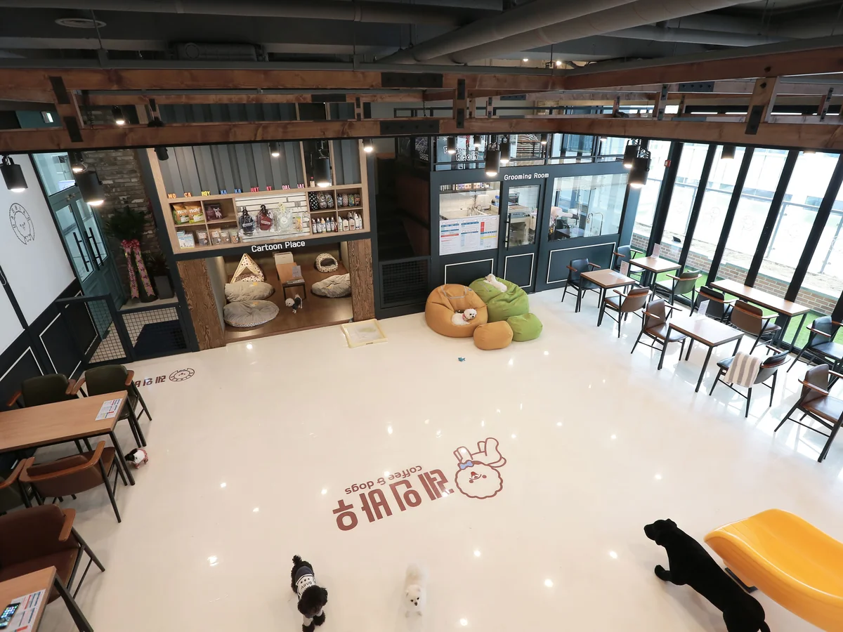 레인바우 세종점 세종시 애견카페