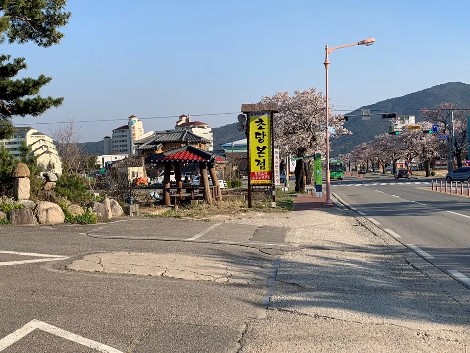 초당본점 순두부 속초시 애견맛집