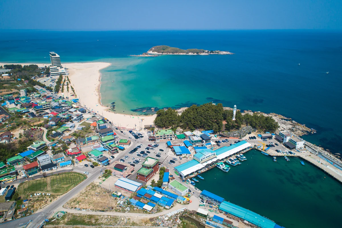 해변펜션 양양군 애견숙소