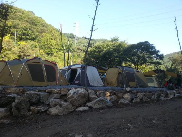 산여울캠핑장 영월군 애견숙소