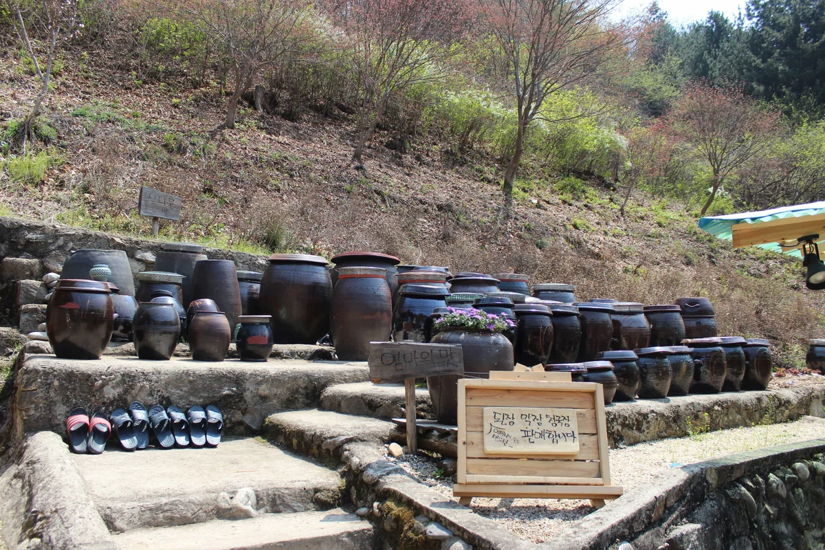 호텔어라이브 전주 시화연풍 전주시 애견숙소