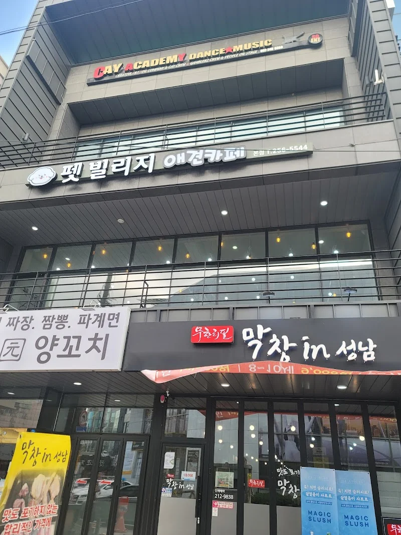 펫빌리지애견카페 본점 중구 애견카페