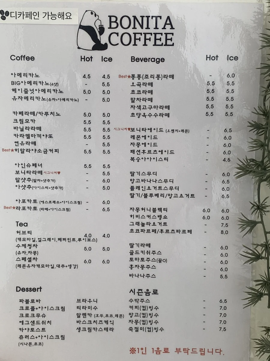 보니타커피 동구 애견카페