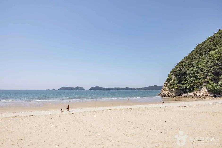 갈음이해수욕장 반려동물 동반 여행지