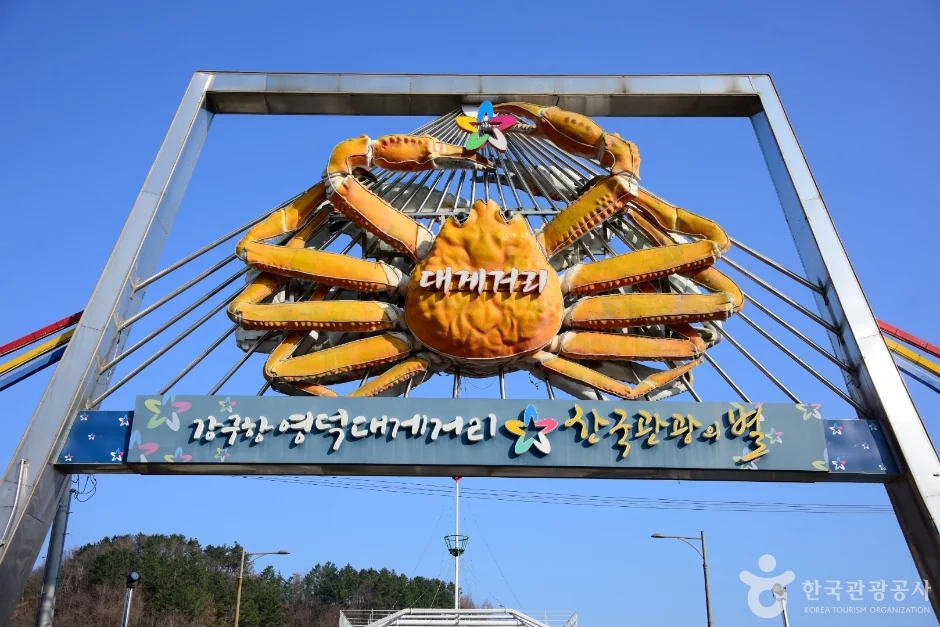강구항 대게거리 반려동물 동반 여행지