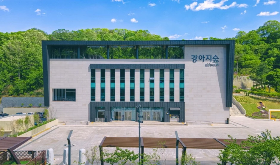 강아지숲 춘천시 애견여행지