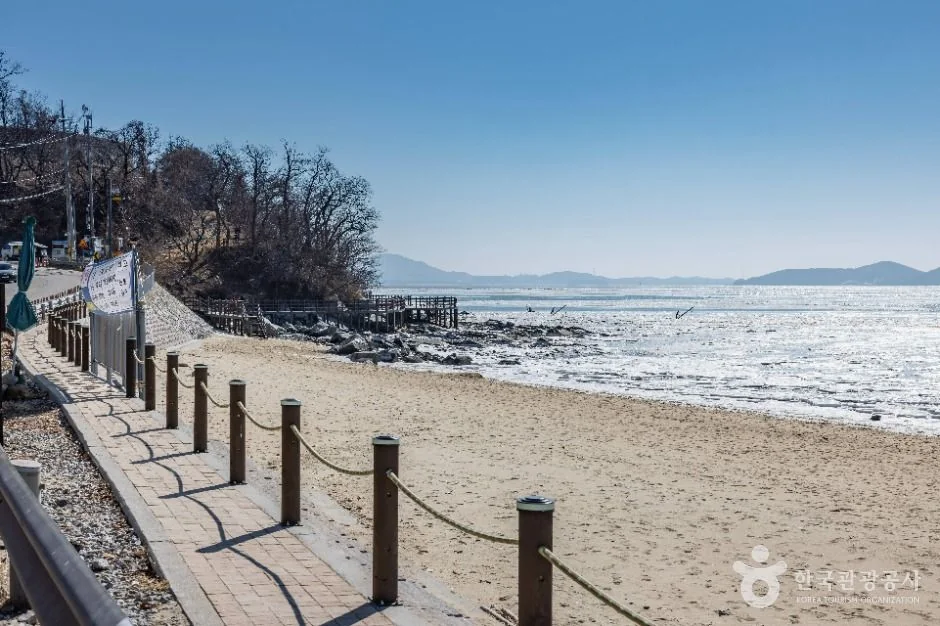 강화 동막해변 반려동물 동반 여행지