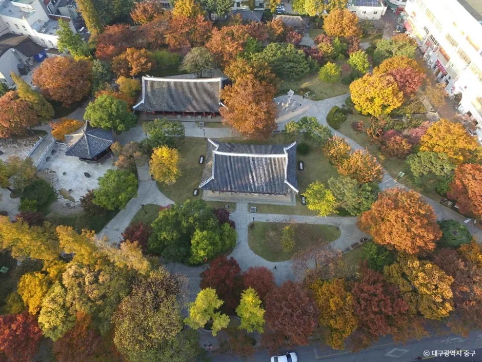 경상감영공원 반려동물 동반 여행지