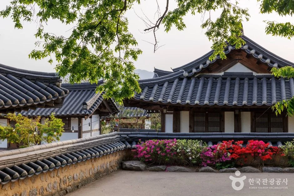 경주 교촌마을 경주시 애견여행지