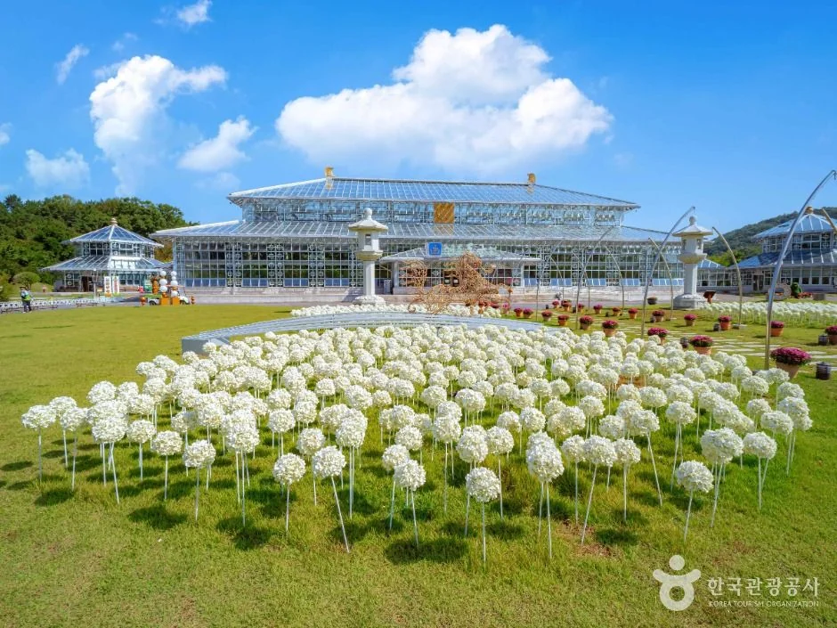 경주 보문관광단지 반려동물 동반 여행지