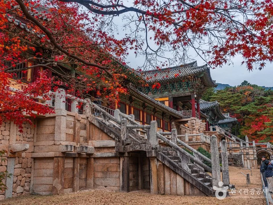 경주 불국사 [유네스코 세계유산] 반려동물 동반 여행지