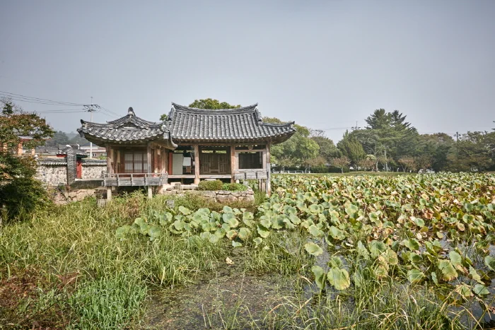 경주 서출지 반려동물 동반 여행지
