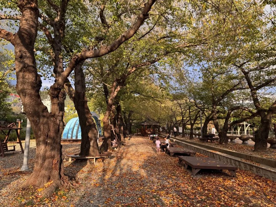 경화역공원 반려동물 동반 여행지