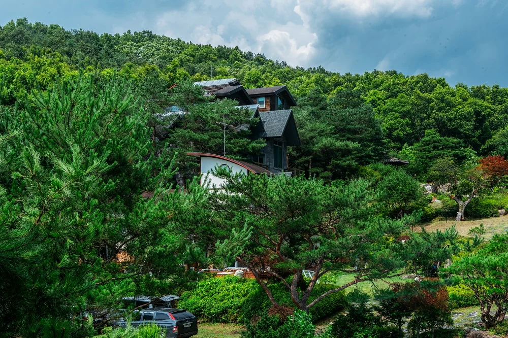 비안단테 펜션 원주점 원주시 애견숙소