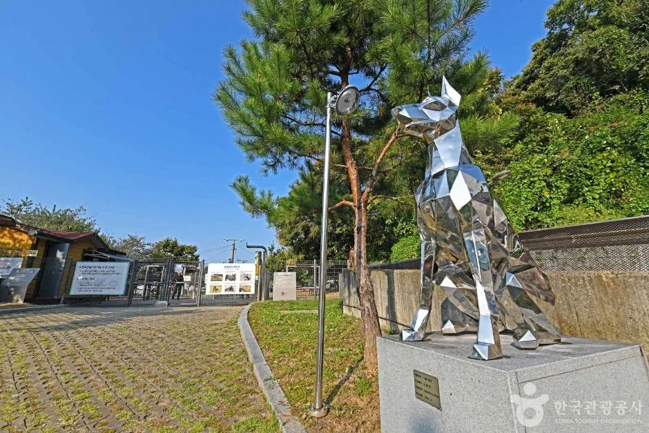 광교호수공원 반려견 놀이터 수원시 애견여행지