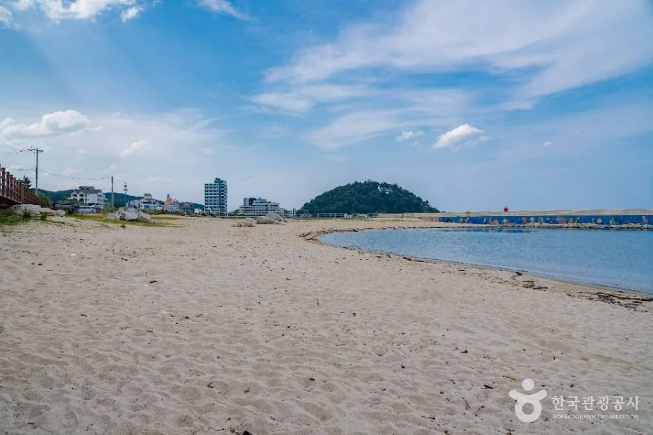 광진해수욕장 반려동물 동반 여행지