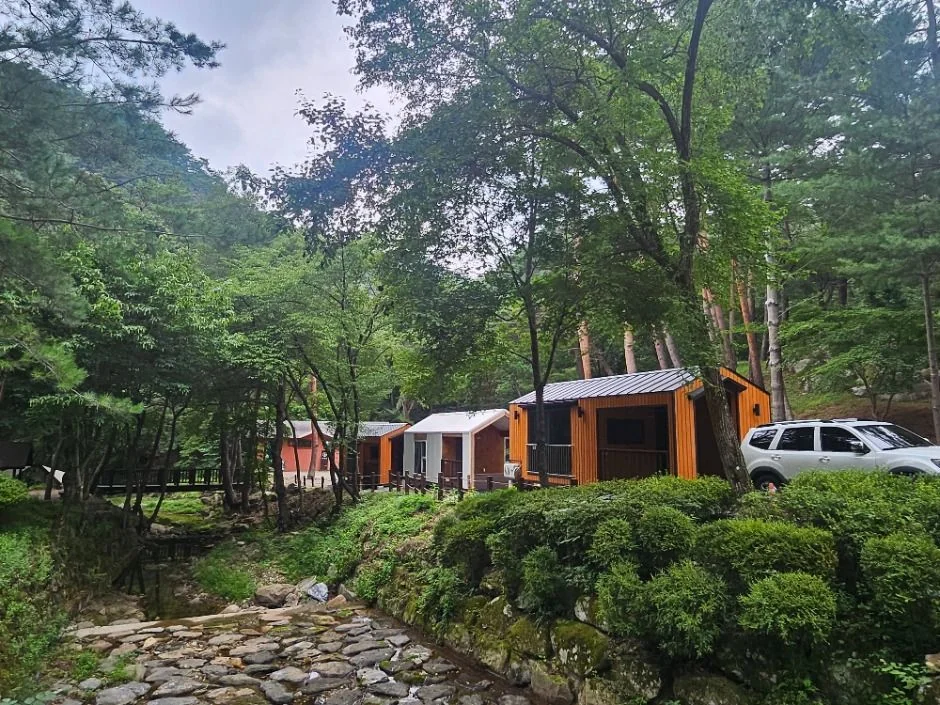 국립검마산자연휴양림 반려동물 동반 여행지