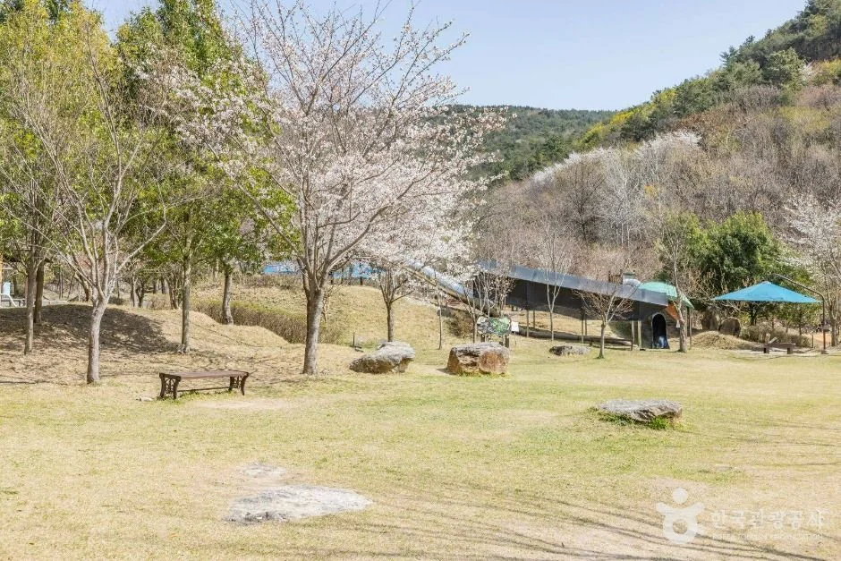 기적의놀이터 4호 올라올라 순천시 애견여행지