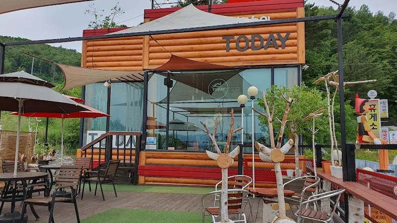 자작나무숲투데이 인제군 애견카페