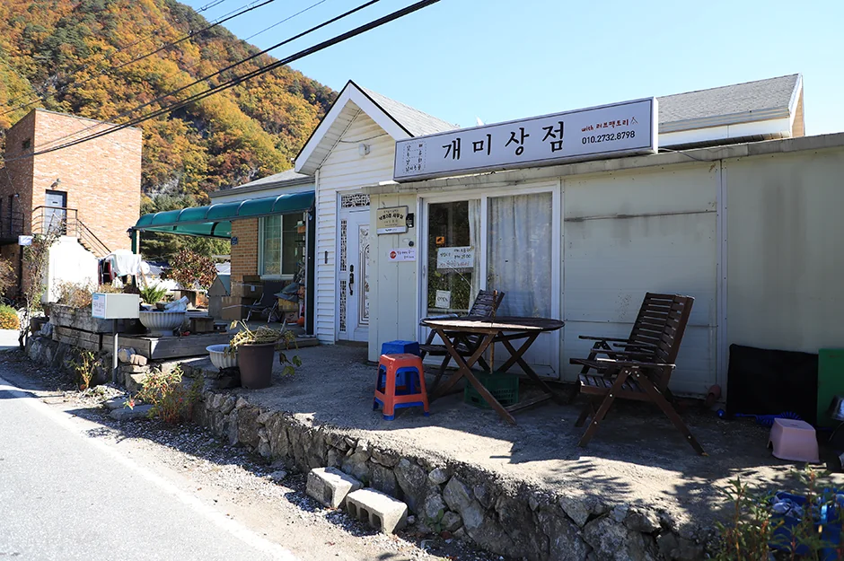 펜션러브팩토리 정선군 애견숙소